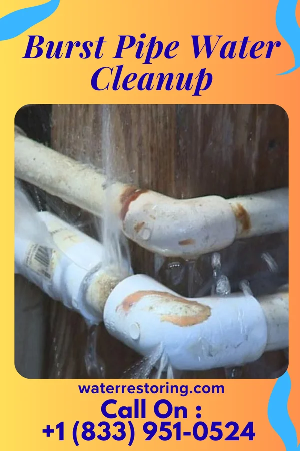 Burst Pipe Water Cleanup in East Cleveland, OH