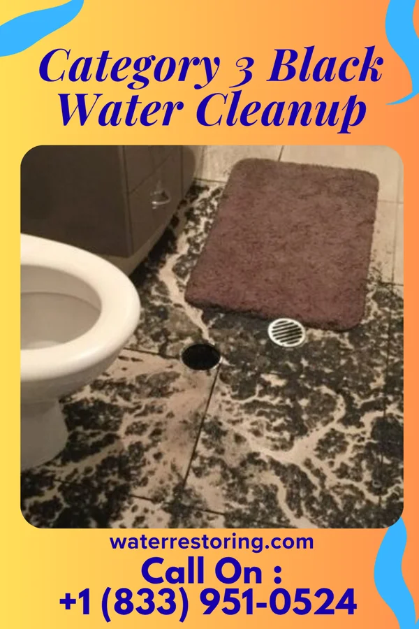 Category 3 Black Water Cleanup in East Cleveland, OH