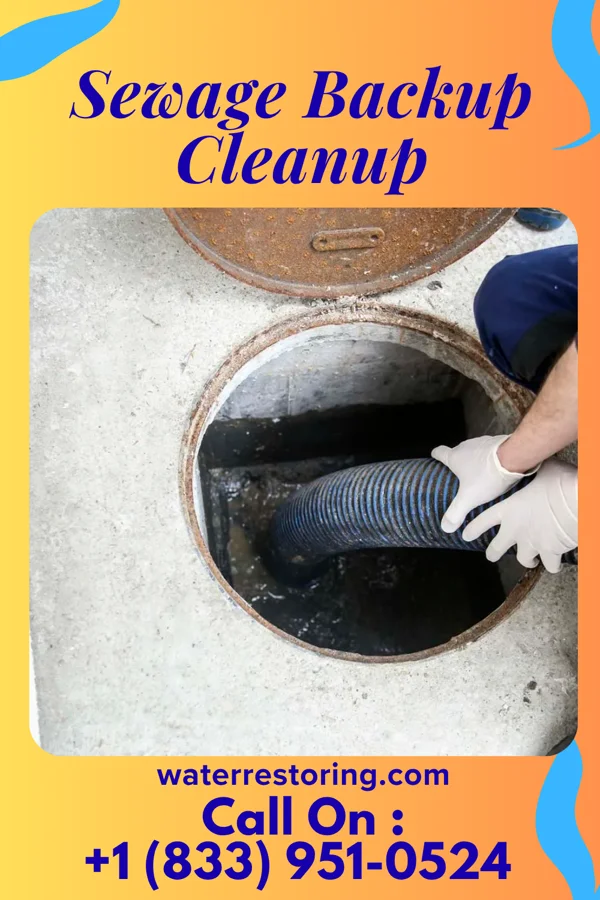 Sewage Backup Cleanup in East Cleveland, OH